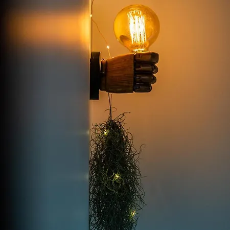 Jungle Vue Sur La Campagne A 15min D'albi Pensión Mouzieys-Teulet