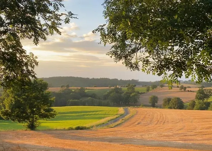 Jungle Vue Sur La Campagne A 15min D'albi 3*
