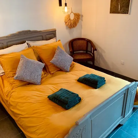 Jungle Vue Sur La Campagne à 15min D'albi 3*