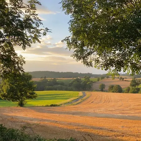 Jungle Vue Sur La Campagne A 15min D'albi *