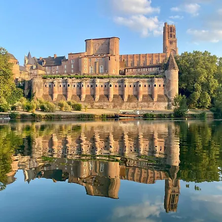 Jungle Vue Sur La Campagne A 15min D'albi Guest house