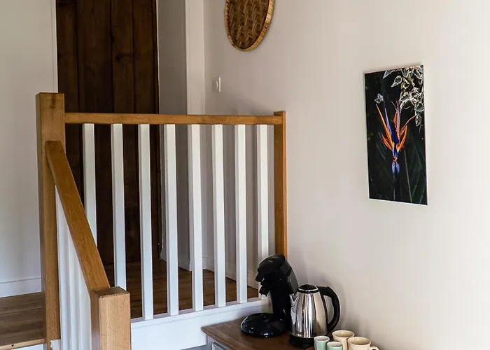 Jungle Vue Sur La Campagne A 15min D'albi